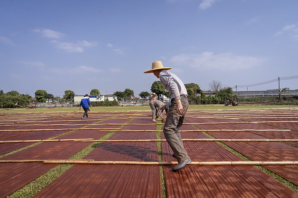 Gambiered silk drying outdoors in 2023, archival process photograph